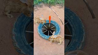 Survival Skills Simple But Very Useful with rabbit deep hole trap shorts survival outdoors [upl. by Mclain574]