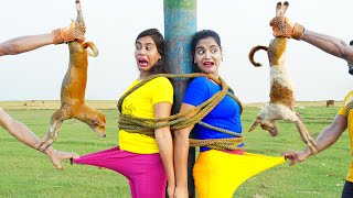 New Entertainment Top Funny Video Best Comedy in 2024 Episode 271 By Busy Fun Ltd [upl. by Nallad5]