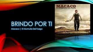 Brindo Por Ti  Macaco  Letra [upl. by Albright]