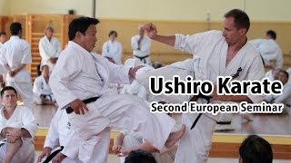 Ushiro Karate Second European Seminar [upl. by Arotahs]