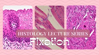 FixationHistology Lecture Series [upl. by Jar228]