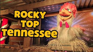 Rocky Top Tennessee  Frizzle Chicken  Pigeon Forge TN  November 2023 [upl. by Lirpa]