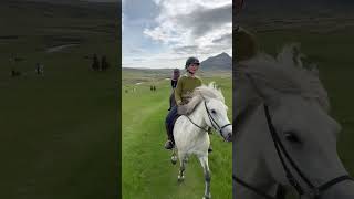 Knit amp Ride and Icelandic horse 2023 [upl. by Starr]