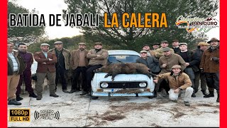 BATIDA DE JABALI LA CALERA 2024  CINEGÉTICA PAN DURO 236 [upl. by Anima168]