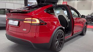 2023 Tesla Model X Plaid Review  New Cameras and More Features [upl. by Tenahs601]