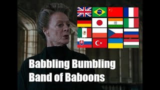 BABBLING BUMBLING BAND OF BABOONS in Different Languages Harry Potter and the Goblet of Fire [upl. by Lowenstern490]