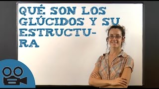 Qué son los glúcidos y su estructura [upl. by Nido]