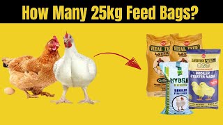 How Many 25kg Feed Bags for 100 Broilers and Layers [upl. by Namyl]