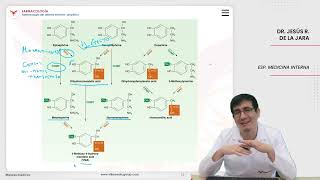 Farmacología Farmacología del sistema nervioso simpático [upl. by Nanah984]