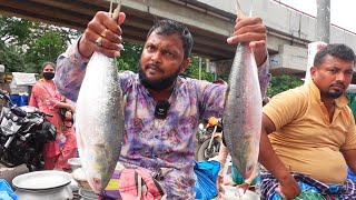 ১৪৯২০২৪ ইলিশের নিউ আপডেট ঢাকা কাওরান বাজার দেখুন আজ পদ্মার রূপালী ইলিশ কেজি কত করে বিক্রি হচ্ছে [upl. by Airual]