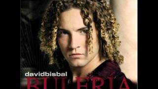 David Bisbal  Permítame señorawmv [upl. by Sadnalor]