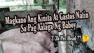 MAGKANO ANG KINITA AT GASTOS SA PAG AALAGA NG BABOY  ATING ALAMIN [upl. by Annekcm]