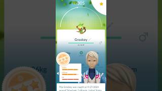 Full Grookey Evolution 🧬 Pokemon Go [upl. by Lihcox]