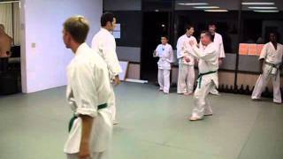 Aikido  Front Punch Arm Bar [upl. by Garrek748]