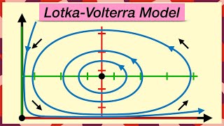 PredatorPrey Population Models  LotkaVolterra Equations [upl. by Ameh]