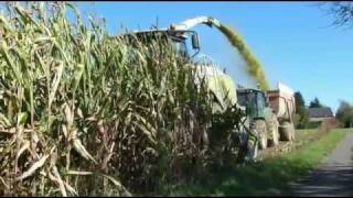 Corn silage 2011 by Stassart J [upl. by Aelc]