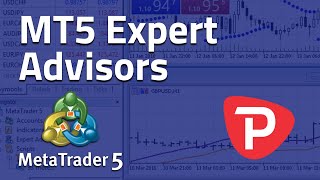 How to use Expert Advisor MetaTrader 5 [upl. by Klimesh]