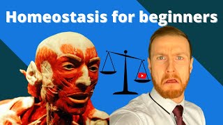 HOMEOSTASIS Fundamentals AQA ALevel Biology [upl. by Anehs]