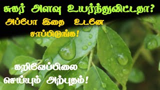 💥சுகர் அளவு உயர்ந்துவிட்டதா  benefits tamil curryleaves [upl. by Nnylirret]