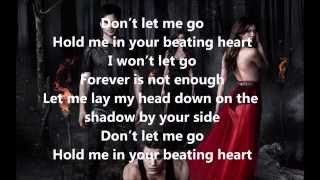 The vampire diaries RaignDont let me go lyrics [upl. by Alicec]