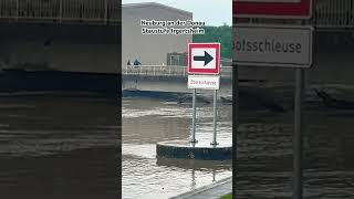 Hochwasser Neuburg an der Donau [upl. by Rockwood550]