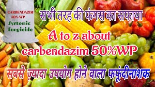 Carbendazim 50WP fungicide  कारबेंडाज़िम 50 डब्ल्यू पी फफूंदीनाशक  bagwanikibaat [upl. by Sorazal]