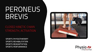 PERONEUS BREVIS  Closed Kinetic Chain Strength Activation [upl. by Otsedom]