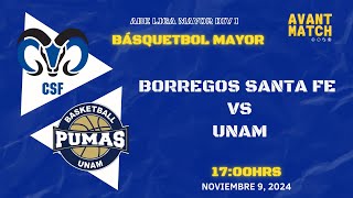 LIGA MAYOR ABE VARONIL DIV I EN VIVO 🔴  BORREGOS CSF VS PUMAS UNAM  AVANT MATCH [upl. by Nnylecyoj]