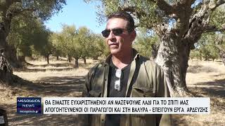 quotΕυχαριστημένοι αν μαζέψουμε λάδι για το σπίτι μας Απογοητευμένοι οι παραγωγοί amp στη Βαλύρα [upl. by Owiat]