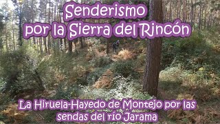 Sierra del Rincón La HiruelaEl Cardoso de la SierraHayedo de Montejo por el río Jarama [upl. by Llerot]