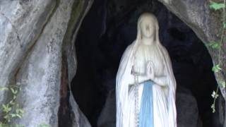 rosary from Lourdes 29th october 2014 [upl. by Zelda934]