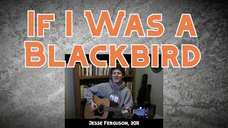 If I Was a Blackbird [upl. by Barbara-Anne]