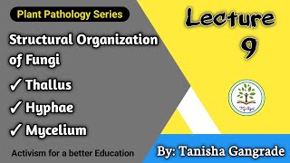 Fungal Cell  Structural Organisation of Fungi  Thallus  Hyphae  Mycelium by Tanisha Gangrade [upl. by Oloap]