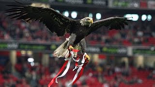 O vôo da águia  Benfica vs Sporting 03 Dérbi Jornada 8  25102015 [upl. by Daugherty]