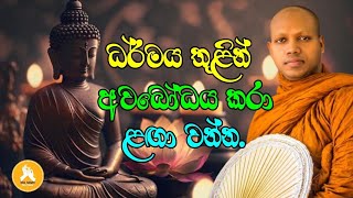 ධර්මය තුළින් අවබෝධය කරා ළඟා වන්නVen Hasalaka Seelawimala thero [upl. by Odraude]