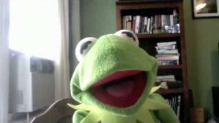 Kermit The Frogs quotIt Gets Betterquot Video [upl. by Nedra]