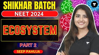 Ecosystem  Part 2  NEET 2024  Seep Pahuja [upl. by Kcirtemed]