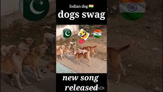 🔥India vs Pakistan dog 🔥funny dog cute india shorts vs [upl. by Ojytteb]