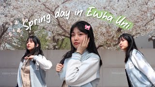 SPRING DAY IN EWHA UNIVERSITY 🇰🇷  Du Học Sinh Hàn Quốc  Bé Đi Du Học  Suz [upl. by Rebekah]