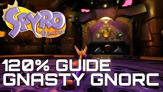 Spyro The Dragon Reignited 120 Guide GNASTY GNORE ALL DRAGONS GEMS EGGS [upl. by Euk]