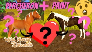 Trying to breed a Percheron horse with a PAINT coat Wild Horse Islands [upl. by Dett654]