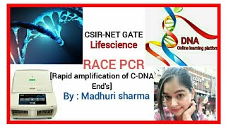 RACE Rapid amplification of CDNA Ends CSIRNETGATETECHNIQUES [upl. by Sedlik]