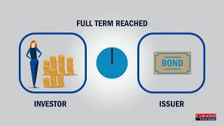 What Are Fixed Interest Investments and How Do They Work [upl. by Nayb389]