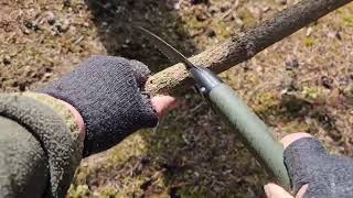 BACHO Laplander 396 Folding Saw Test [upl. by Ileray631]