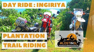 Plantation Trail Riding Eduragala Estate Ingiriya  vlog 1 [upl. by Hannis]