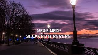 NEDE NEDE SONG  SLOWED amp REVERB [upl. by Sorcha351]