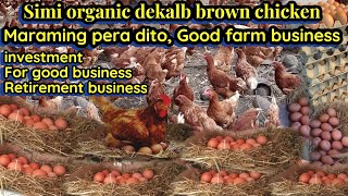 Simi organic dekalb brown chicken Good farm business [upl. by Releyks]