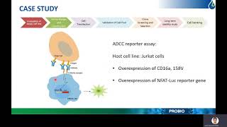 Development of cellbased functional assay with high efficiency [upl. by Rancell764]