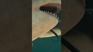 🦖 DUNKLEOSTEUS REVENGE ON NEW MEGALODON  Jurassic World Evolution 2 jurassicworldevolution2 [upl. by Odeen]