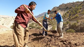 Flattening the Land to Plant Hay for Livestock  Village amp Nomadic Lifestyle of Iran 2022 [upl. by Panthia]